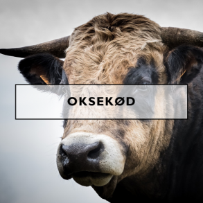 Oksekød
