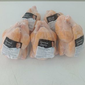 Gul poussin, frost
