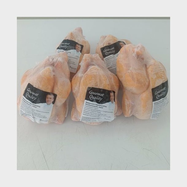 Gul poussin, frost