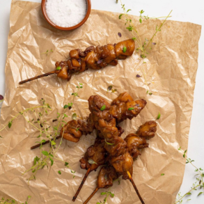 SUPERSPOT - Yakitori Spyd, forstegte