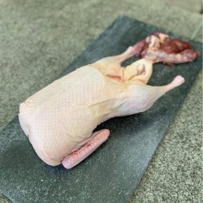 SUPERBASKER - Landand af racen Peking, ca. 3,2 kg.