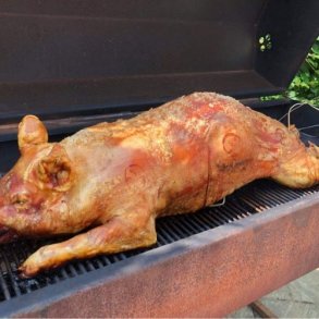 Hel pattegris - 24-30 kg. (3 dages forudbestilling)