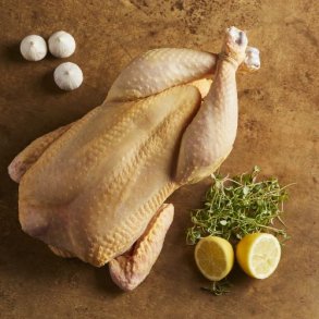 SUPERSPOT - Hopballe Mlle fersk kylling 